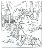 A coloring page of nature in the backyard
